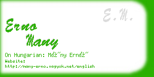 erno many business card